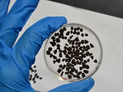 A hand in a blue glove holds a petri dish containing small black granules over a white surface. Some granules are scattered on the surface beneath.