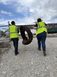 Volunteers removing a discarded tire during a cleanup effort.