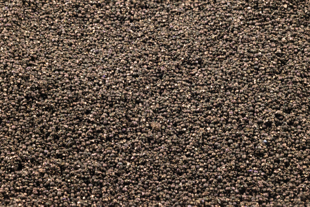 Close-up view of many tiny, round, dark brown or black seeds tightly packed together, creating a textured surface.