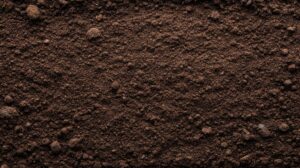 A close-up view of dark soil, representing a site for in situ remediation using advanced technologies.