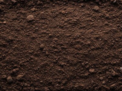 A close-up view of dark soil, representing a site for in situ remediation using advanced technologies.