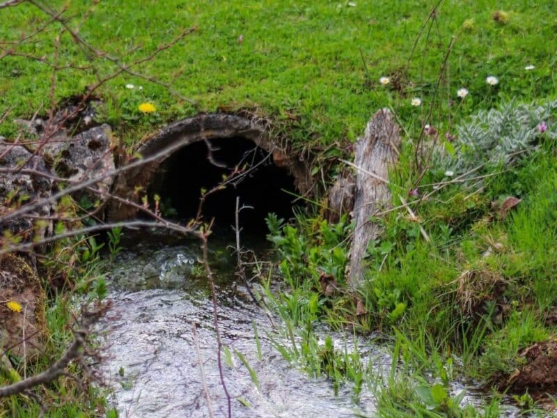A culvert where a creek passes beneath a roadway.
